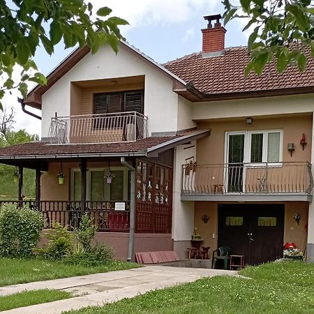Kuca Za Odmor Zicanka Kraljevo Bagian luar foto