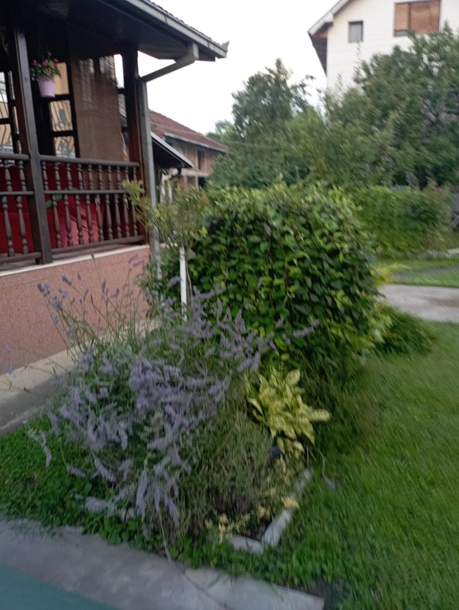 Kuca Za Odmor Zicanka Kraljevo Bagian luar foto
