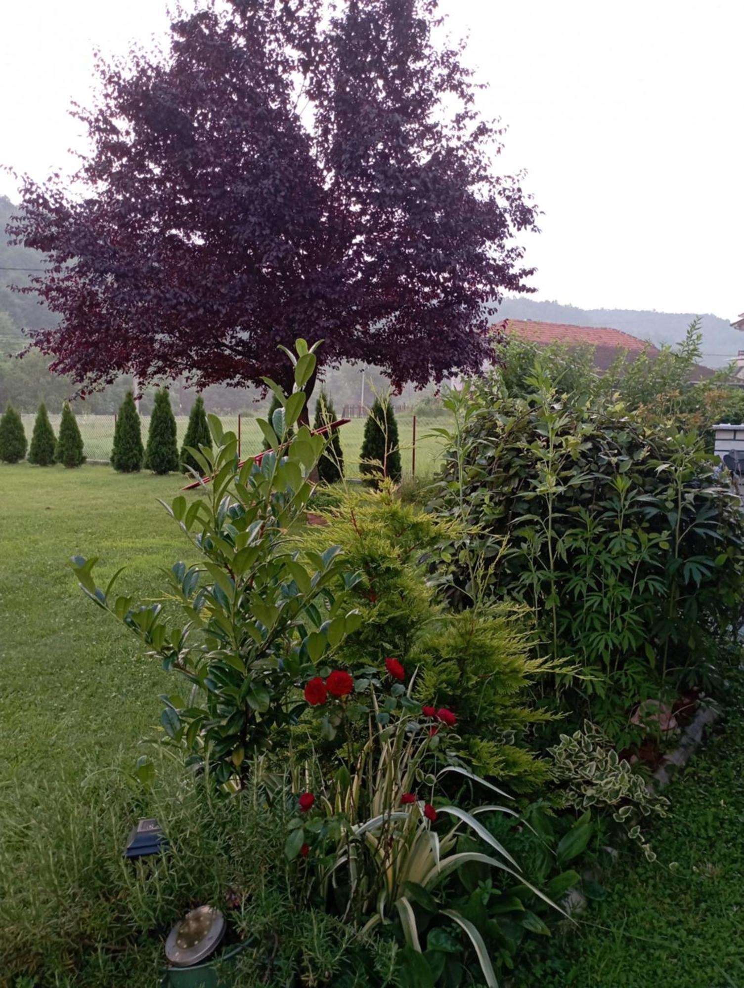 Kuca Za Odmor Zicanka Kraljevo Bagian luar foto