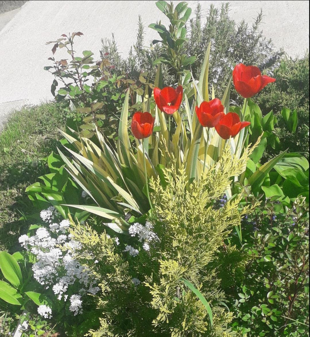 Kuca Za Odmor Zicanka Kraljevo Bagian luar foto