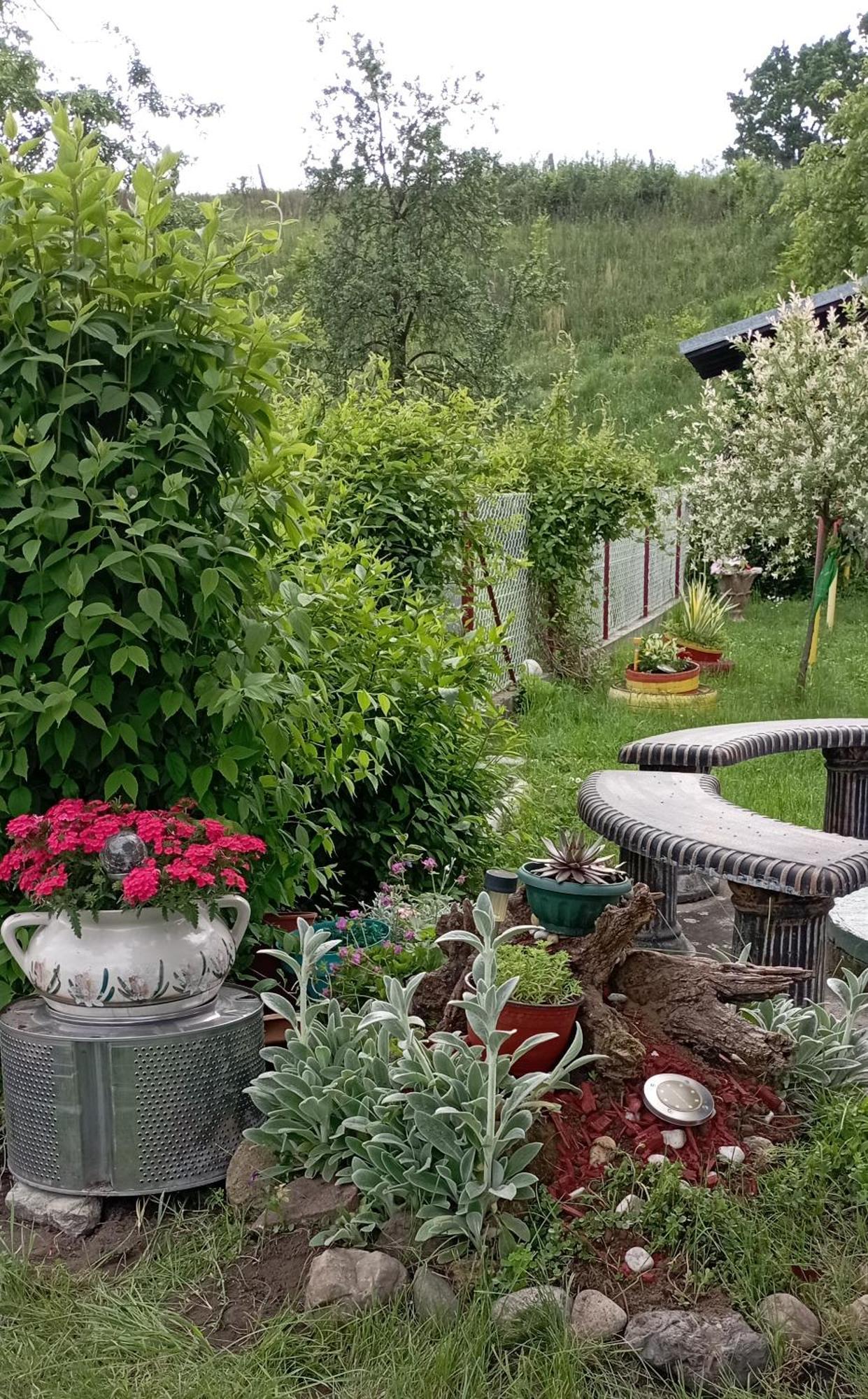 Kuca Za Odmor Zicanka Kraljevo Bagian luar foto