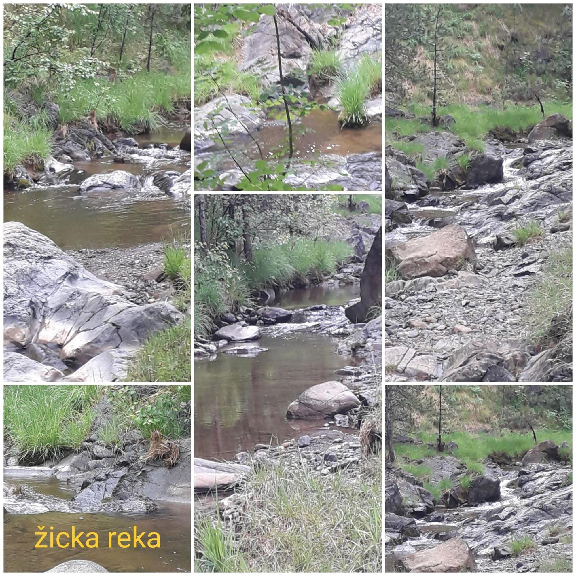 Kuca Za Odmor Zicanka Kraljevo Bagian luar foto